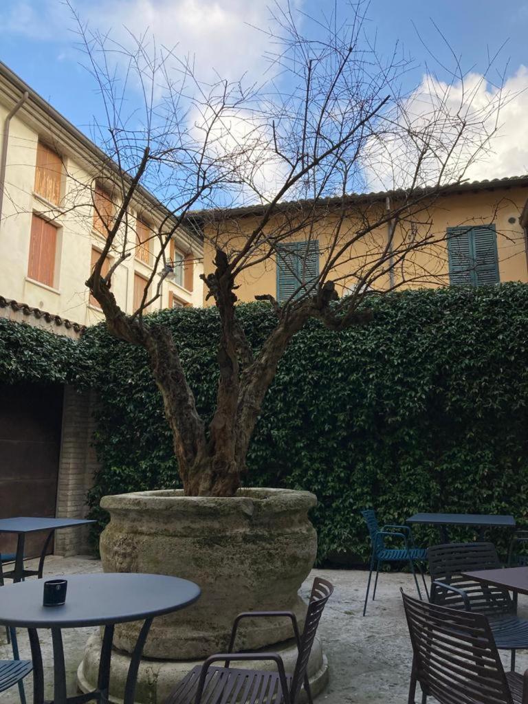 Casa Gugu Bed & Breakfast Ravenna Dış mekan fotoğraf